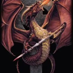 Max Protection 4 Pocket Portfolio Celtic Dragon