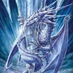 Max Protection 9 Pocket Portfolio Arctic Dragon