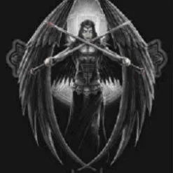 Max Protection Dark Angel Protectors