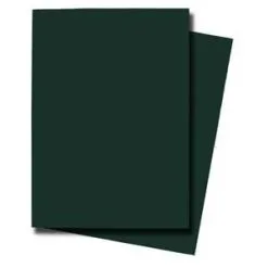 Max Protection Alpha Protectors Emerald Green