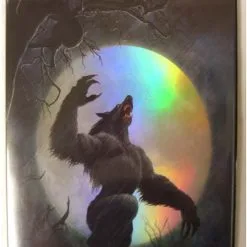 Max Protection 9 Pocket Portfolio Full Moon