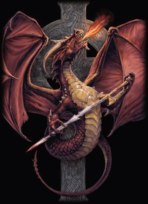 Max Protection Celtic Dragon Protectors Japan 1 Max Protection Celtic Dragon Protectors Japan