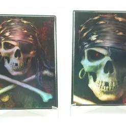 Max Protection 4 Pocket Portfolio Pirate