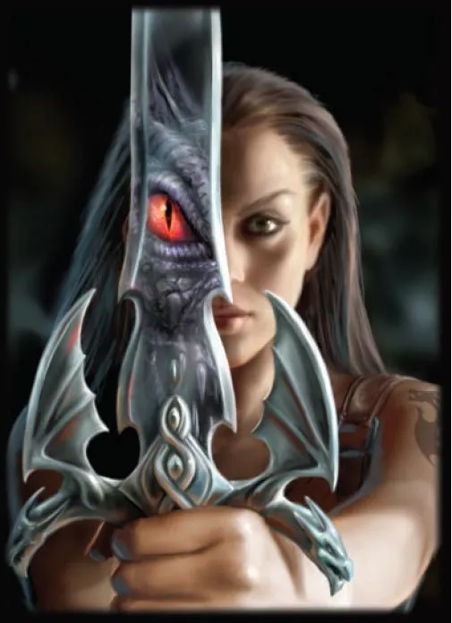 Max Protection Dragon Reflection Protectors Japan 1 Max Protection Dragon Reflection Protectors Japan